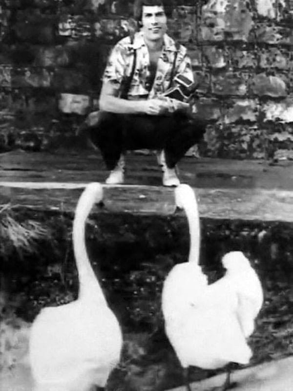 Freddie Mercury mit den Schwänen vor dem Duck House, 1979.